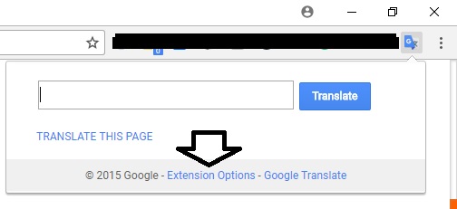 Google Translate Extension option