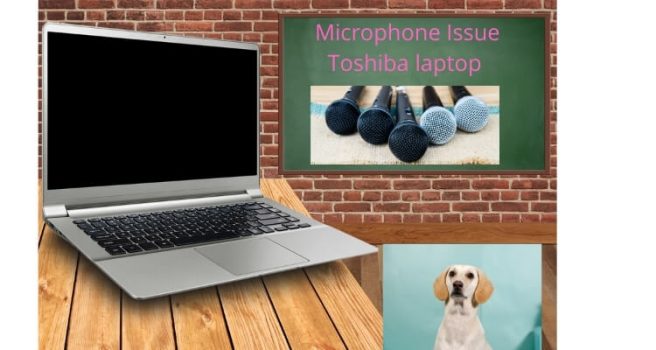 microphone issue Toshiba laptop (1)